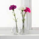 Smycka Flor Artf 30 Clavel Blanco  IKEA