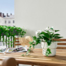 Fejka Planta Artificial 12 Int/ext Composicion  IKEA