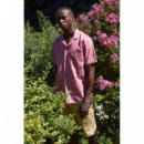 Camisas Camisa TIWEL Crick