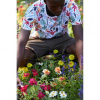 Camisetas Hombre Camiseta TIWEL Tamarindo