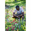 Camisetas Hombre Camiseta TIWEL Tamarindo