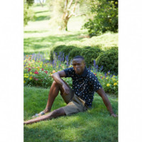 Polos Polo TIWEL Beecher