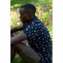 Polos Polo TIWEL Beecher