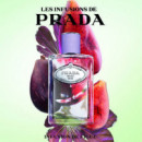 Infusion de Figue
eau de Parfum  PRADA