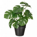 Fejka Planta Artf 12 Monstera  IKEA