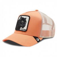 Gorra Goorin Bros Panther coral - Guanxe Atlantic Marketplace