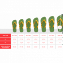 Chanclas Top Logomania Colors Ii de HAVAIANAS