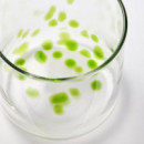 Omsesidig Vaso 30 Cl Vidrio Colores X4  IKEA