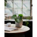 Nypon Macetero 12 Gris  IKEA