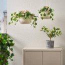 Fejka Planta Artificial 12 Int/ext Geranio Colg  IKEA