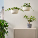 Fejka Planta Artificial 9 Int/ext Geranio Colgante  IKEA