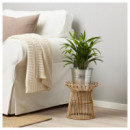 Kanelstang Soporte Planta 29 Ratan  IKEA