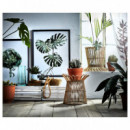 Kanelstang Soporte Planta 29 Ratan  IKEA