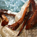 Light Blue Summer Vibes  DOLCE & GABBANA BEAUTY