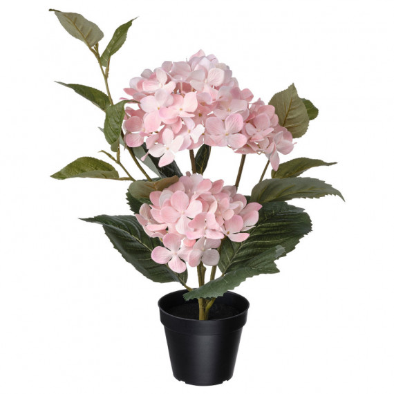 Fejka Planta Artificial 12 Int/ext Hortensia 2301  IKEA