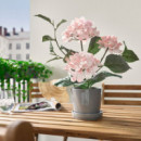 Fejka Planta Artificial 12 Int/ext Hortensia 2301  IKEA