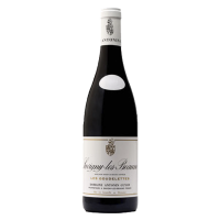 Les Goudelettes 2019 Savigny Les Beaunes ANTONIN GUYON - 75CL