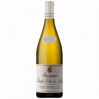 Bourgogne Hautes-côtes de Nuits 'les Dames de Vergy' 2019 - 75CL  ANTONIN GUYON
