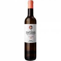 Noctiluca - 50CL  BODEGAS VIÑEDOS VERTICALES