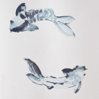 Vattensjon Cortina Ducha 180X200 Pez  IKEA