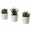 Fejka Planta Artf/mace J3 6 Suculenta  IKEA
