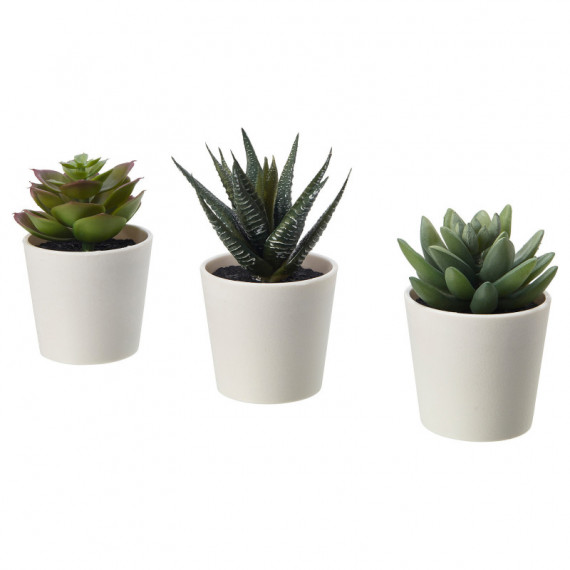 Fejka Planta Artf/mace J3 6 Suculenta  IKEA
