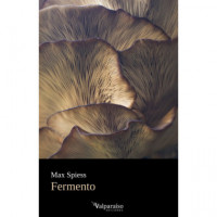 Fermento - Guanxe Atlantic Marketplace