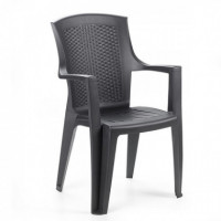 Silla Plastica Eden Antracita