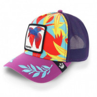 Gorra Goorin Bros Fighter - Guanxe Atlantic Marketplace