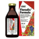 FLORADIX Floravital 1 Frasco 250 Ml