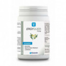 NUTERGIA ERGYQUER FORTE 60 CAPS
