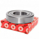 Rodamiento Fag 6313.2ZR