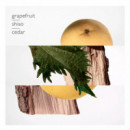 Terre D'hermès
parfum  HERMÈS