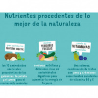 Edgard&cooper Perro Adulto Plant Based Zanahoria y Calabaza 2.5 Kg  EDGARD & COOPER