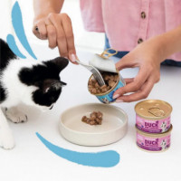 E&c Cat Wet Kitten Trocitos Bac/pol 85GR  EDGARD & COOPER