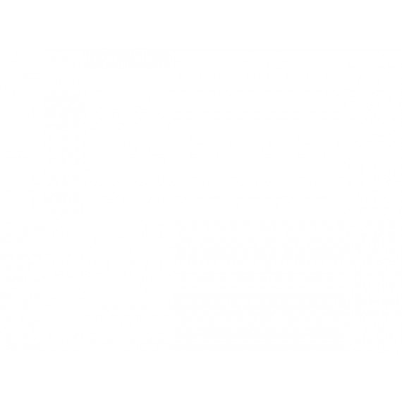 Portaherramientas Profesional 11 Bolso Nylon