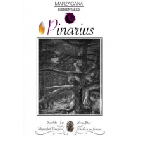 Pinarius 2022 - 75CL  MARZAGANA ELEMENTALES