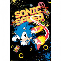 Póster Sonic Speed - Guanxe Atlantic Marketplace