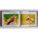 Libro Naturaleza Iberica Aefona  DUKEFOTOGRAFIA