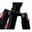 TRIOPO Tripode Kit con Rotula MT-2805+B2