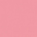 Fondo SUPERIOR 612 2.75X11 Carnation Pink (A-17)