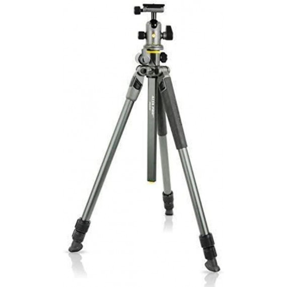 VANGUARD Tripode Alta Pro 2+ 263AP
