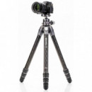 BENRO Kit Tripode Tortoise 34C Carbono + Rotula GX35
