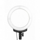 NANLITE Ring Led Bicolor Halo 10B (NA122029) - Luz Anular Led