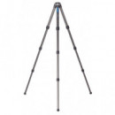 LEOFOTO Tripode LS-284C Carbono