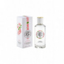 ROGER & GALLET Eau Perfumee Fleur de Figuier 100ML (lim.)