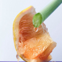 Omnia Amethyste  BULGARI