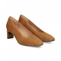 Salon ante Dark Camel  UNISA - Guanxe Atlantic Marketplace