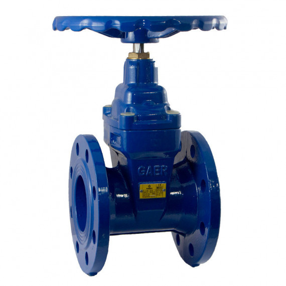 Válvula Compuerta Pn 16  40MM