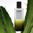 Esencia Elixir  LOEWE
